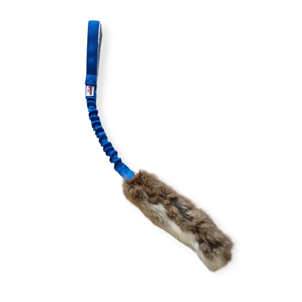 Rabbitly
