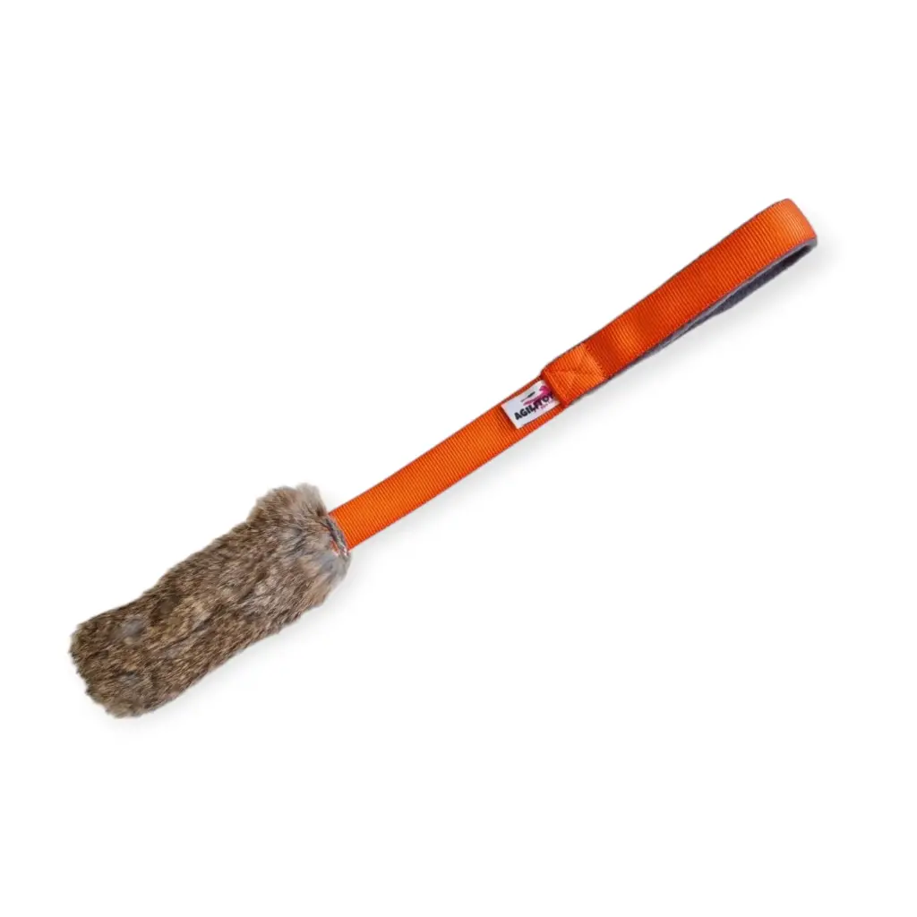 Rabbite